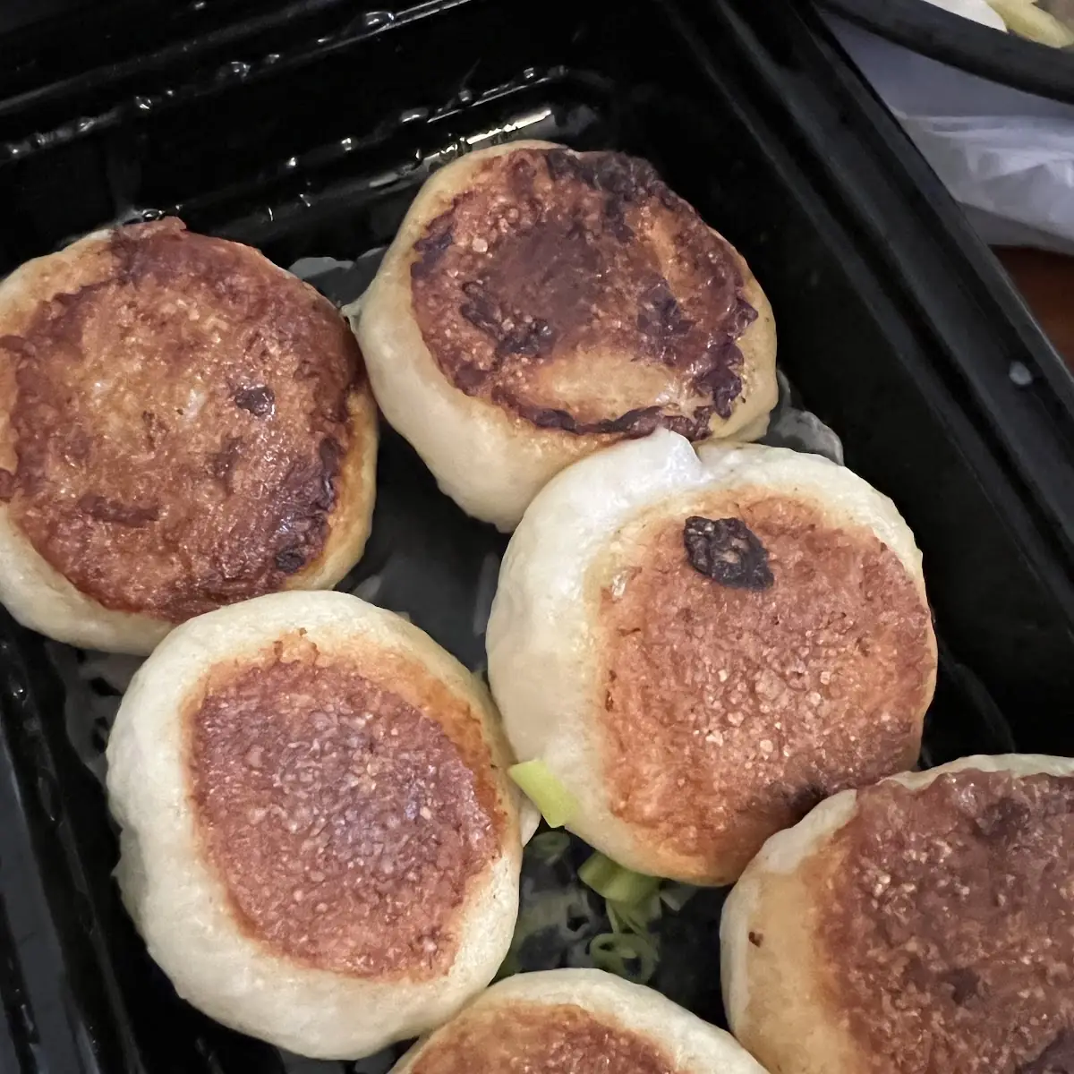 Pan Fried Pork Buns 6