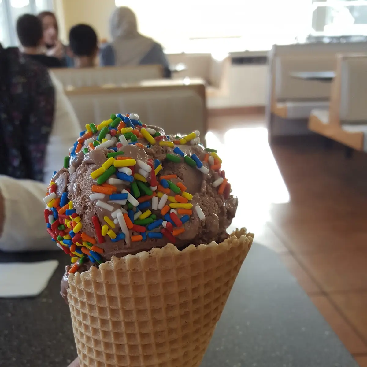 Double Scoop Chocolate Ice Cream with Sprinkle's