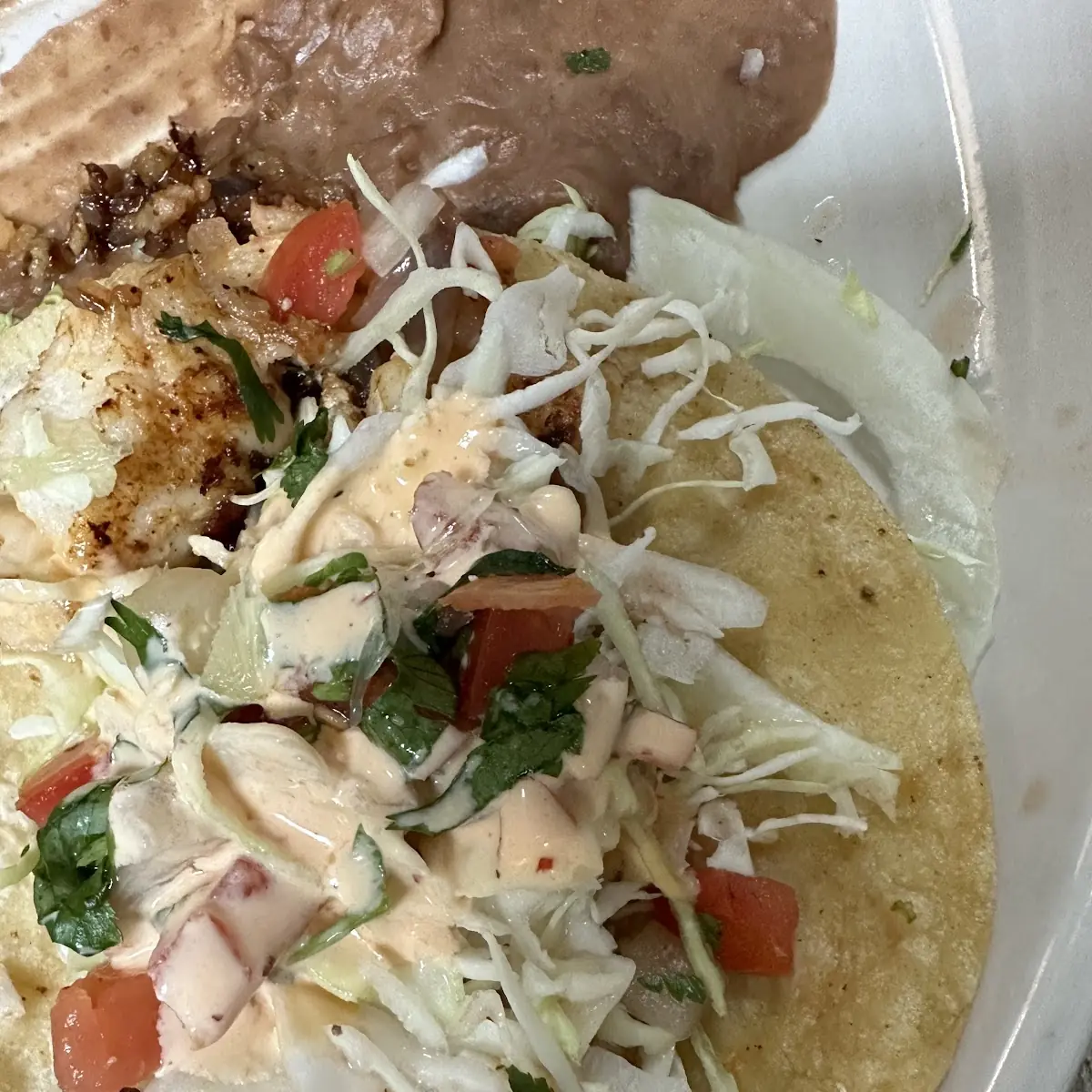 Grilled Fish Taco