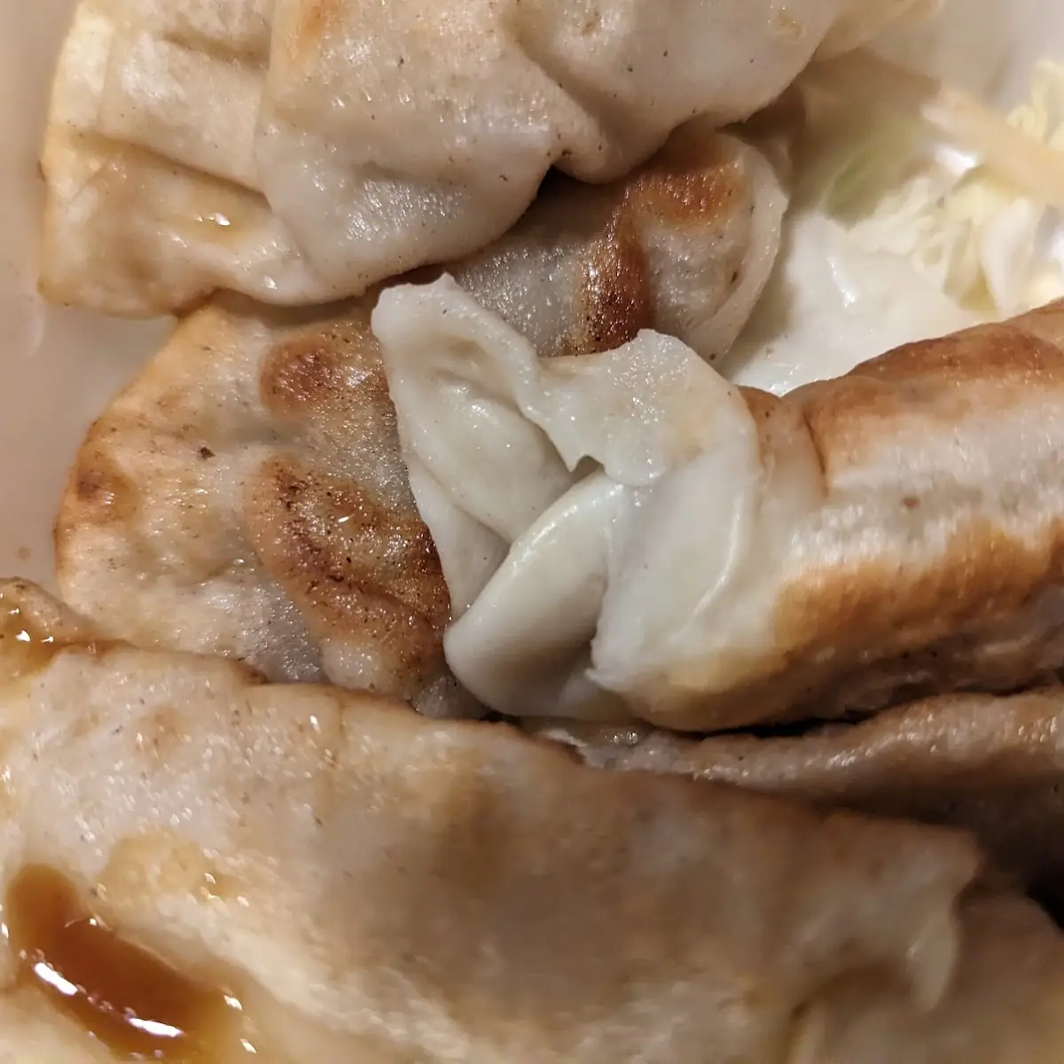 Fried Dumplings