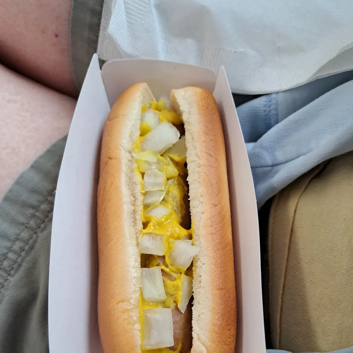Hot Dogs
