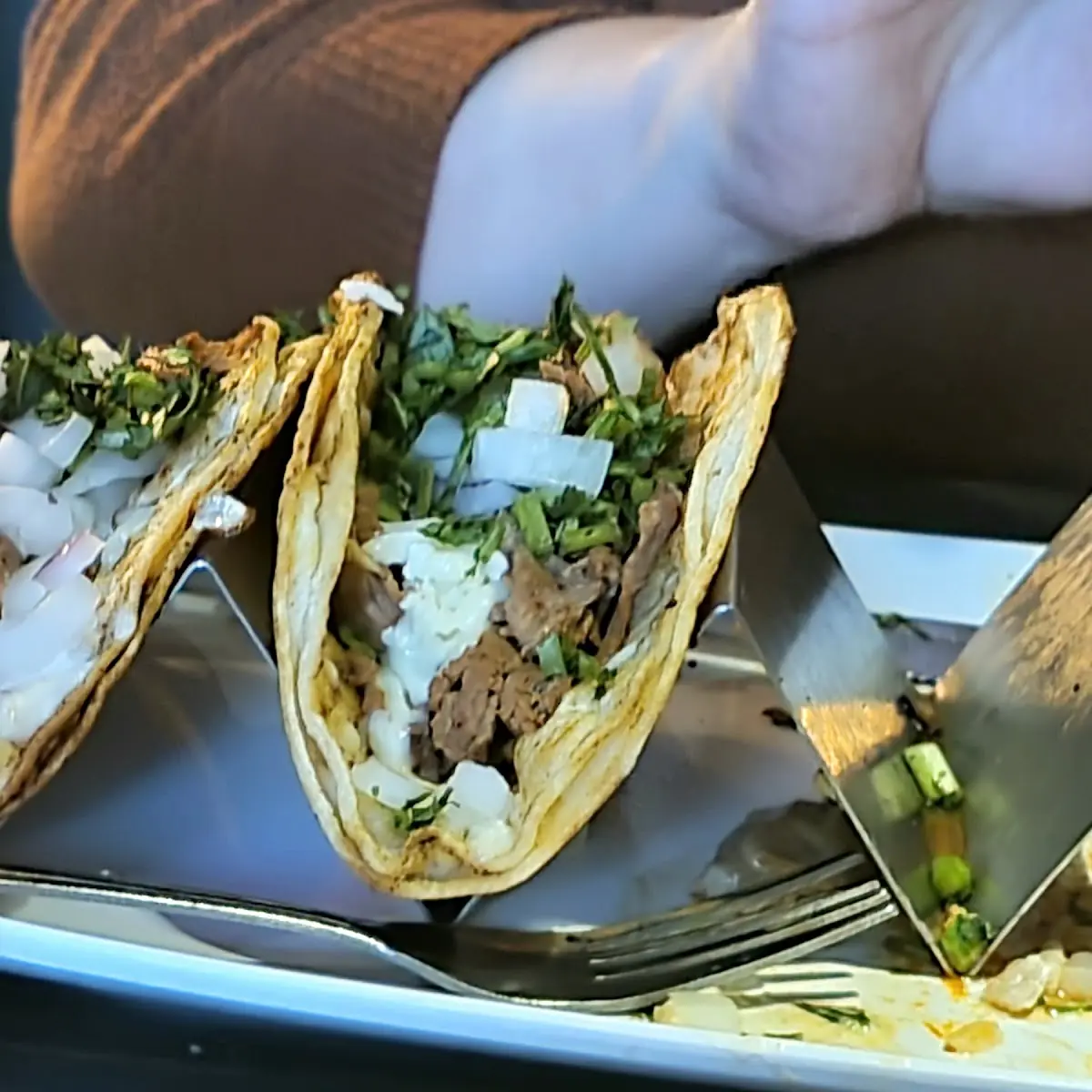 Quesobarilla Street Tacos