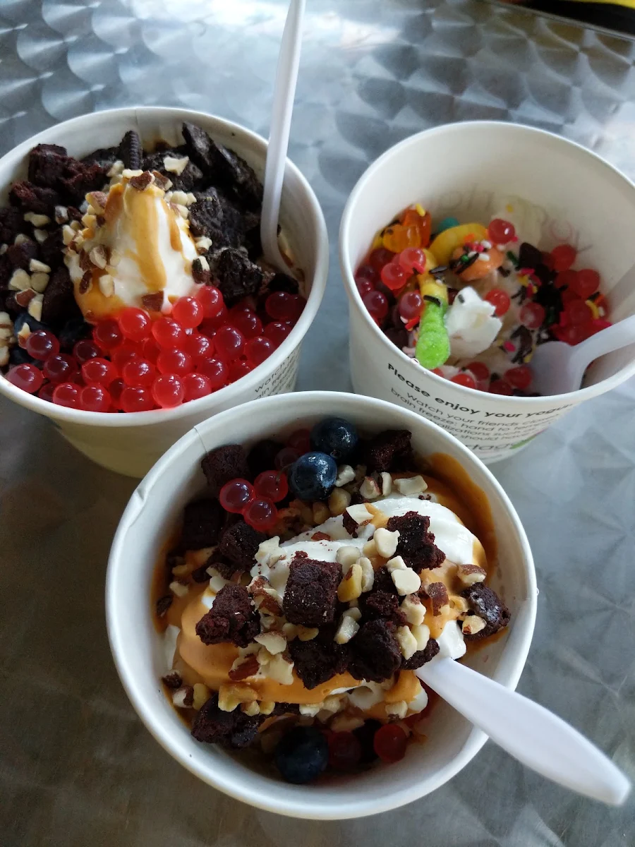 Frozen Yogurt Vanilla Bean