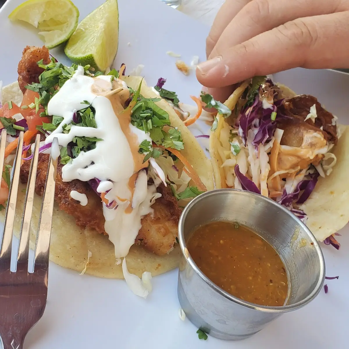 2 Baja Style Fish Tacos
