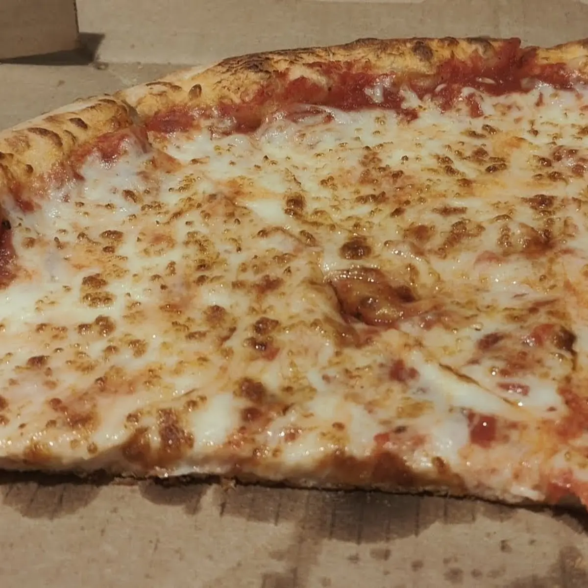 Cheese Pizza V
