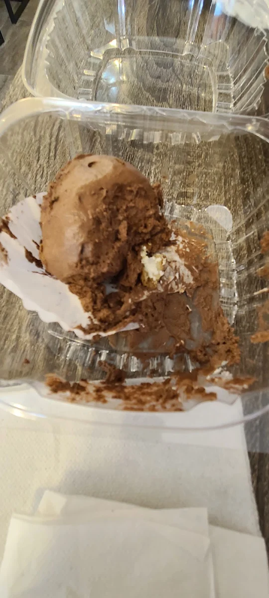 Chocolate Ice Cream