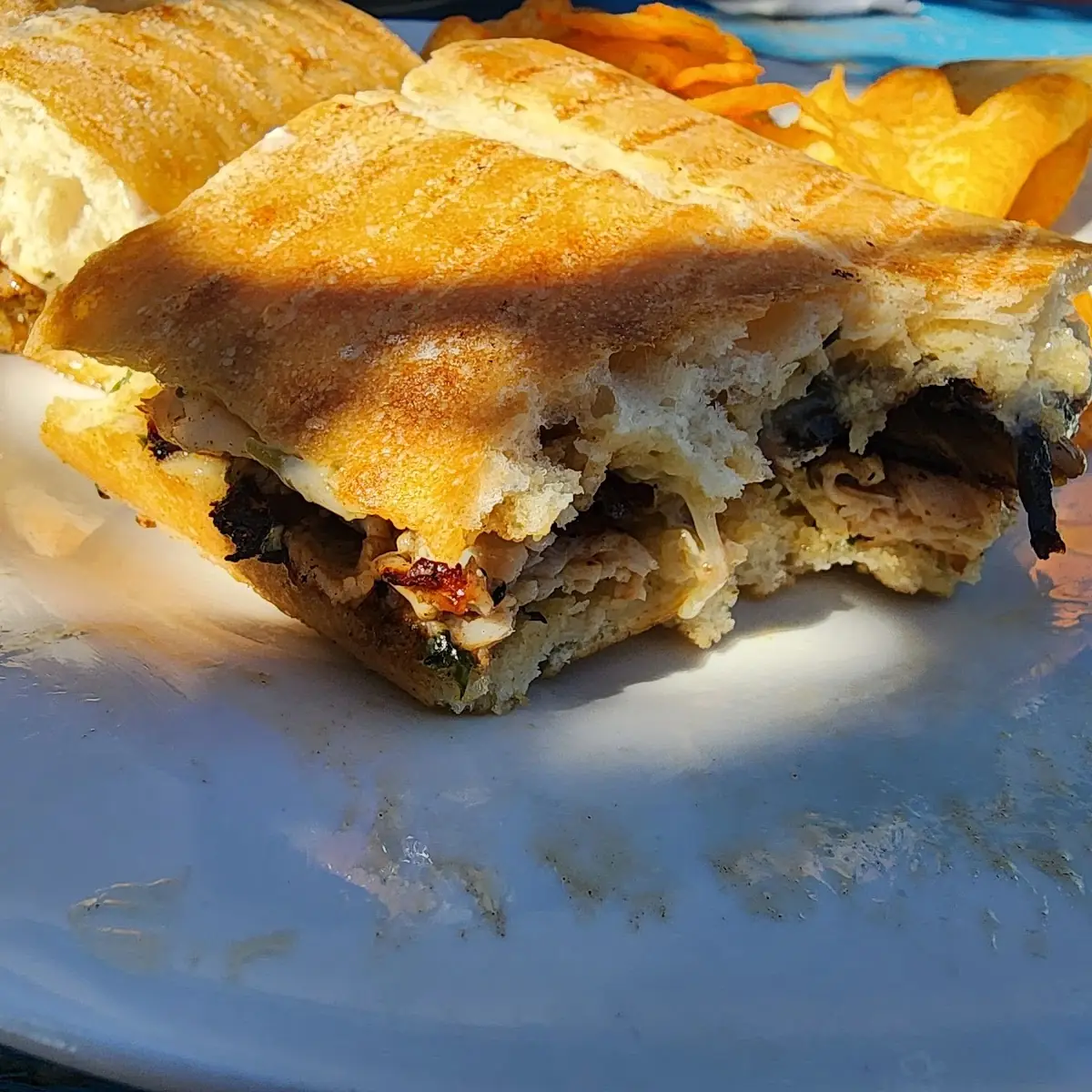 Turkey & Brie
