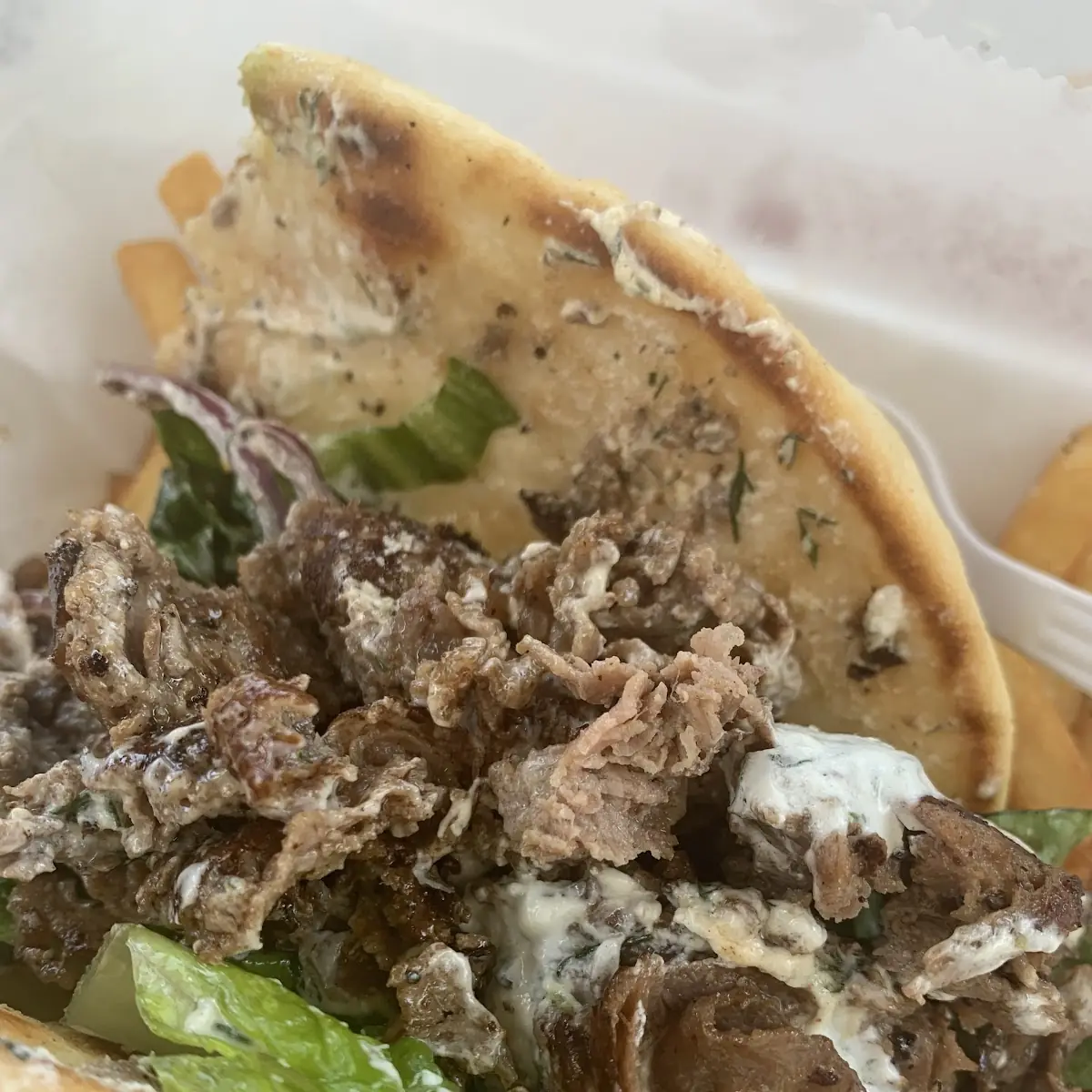 Gyro Sandwich