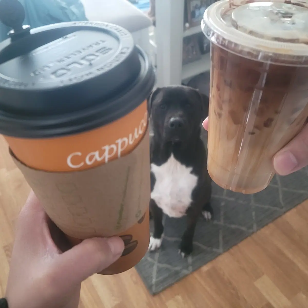 Creamy Raspberry Cold Brew