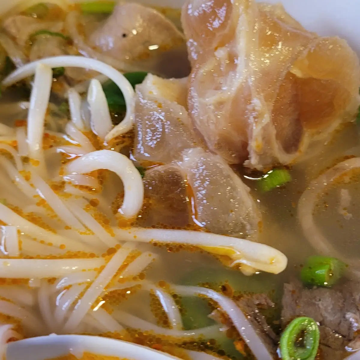 Pho Beef Brisket and Tendons