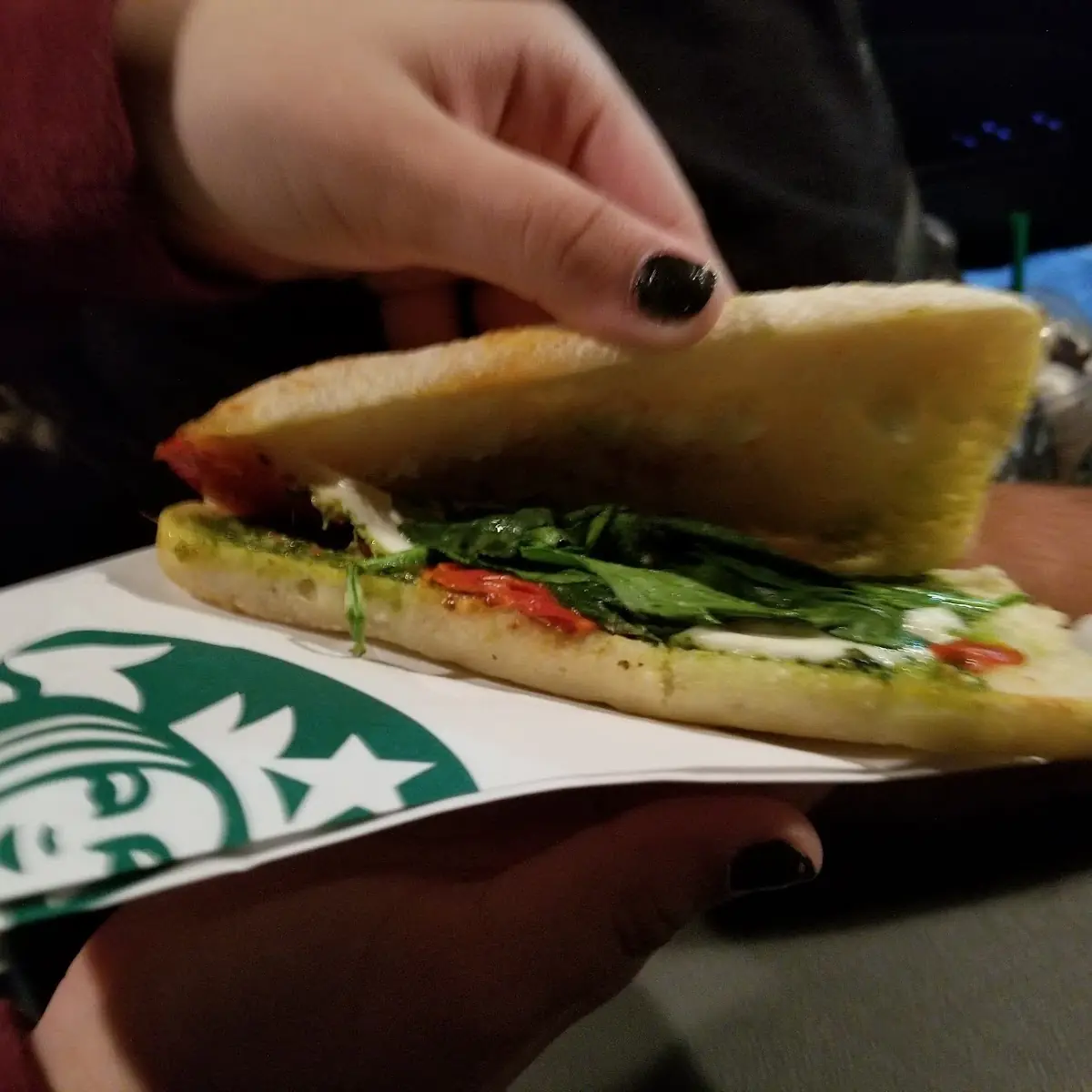 Tomato Mozzarella Panini