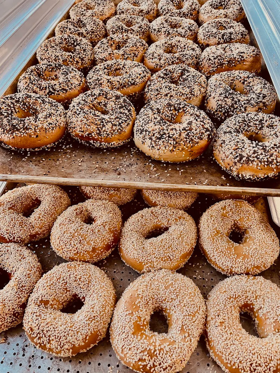 Dozen Bagels - Assorted
