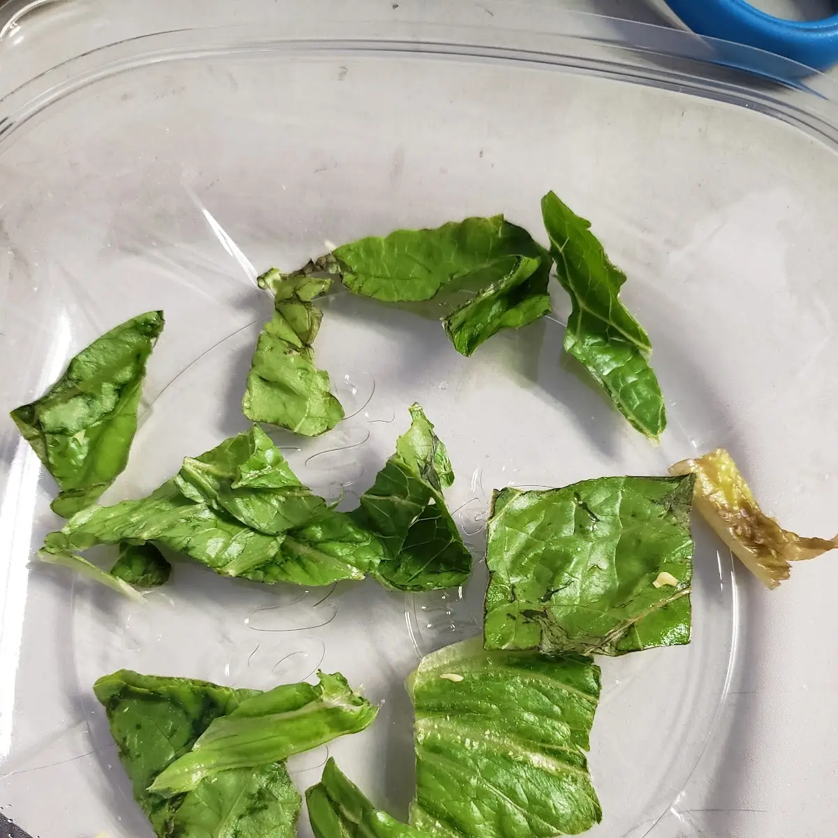 Side Caesar Salad
