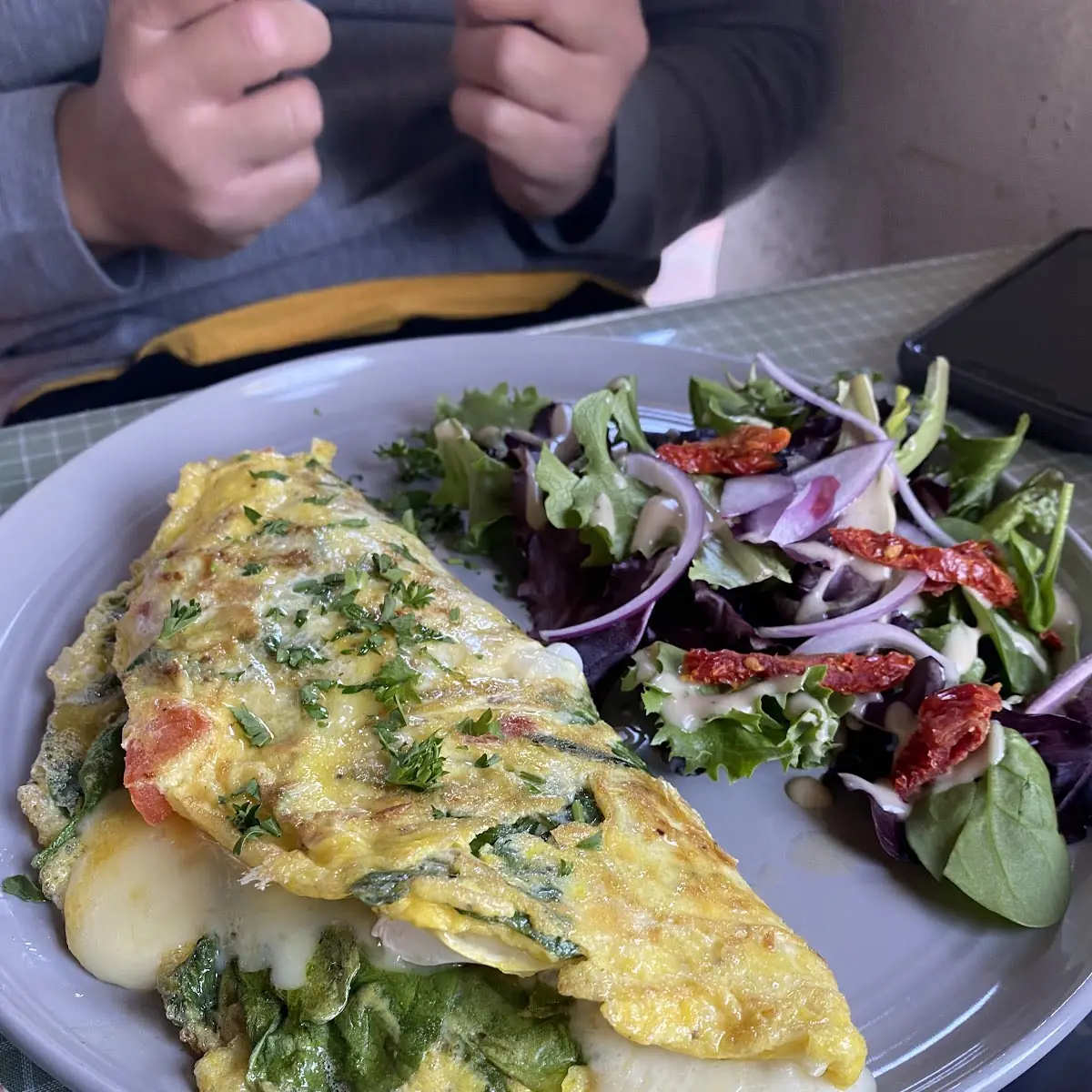 Veggie Omelette