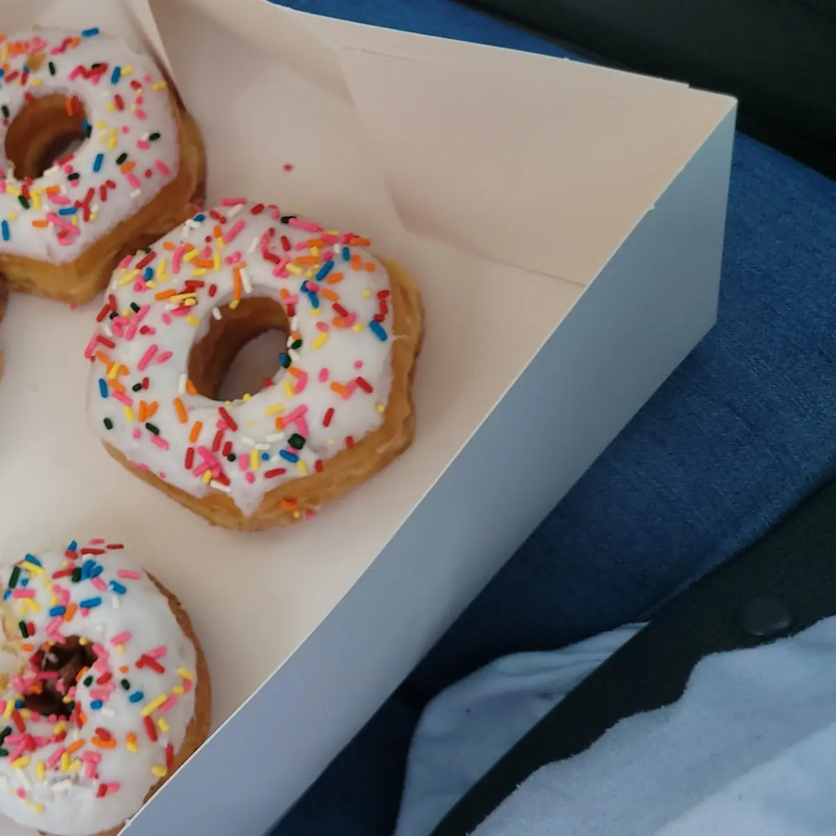 Doughnut