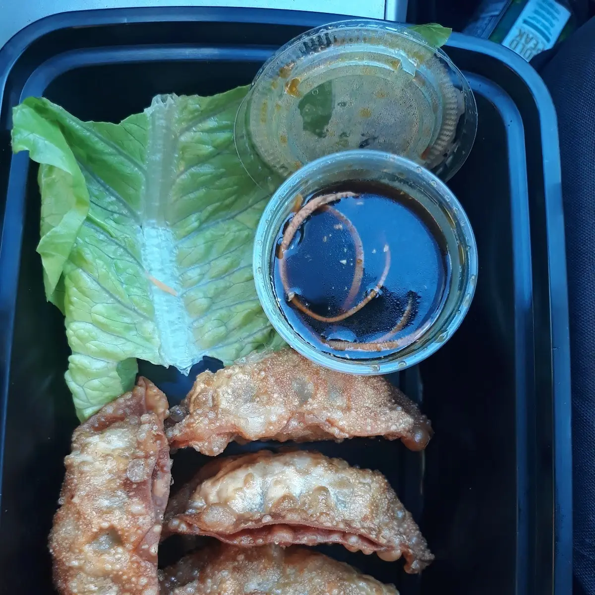 Fried Dumplings