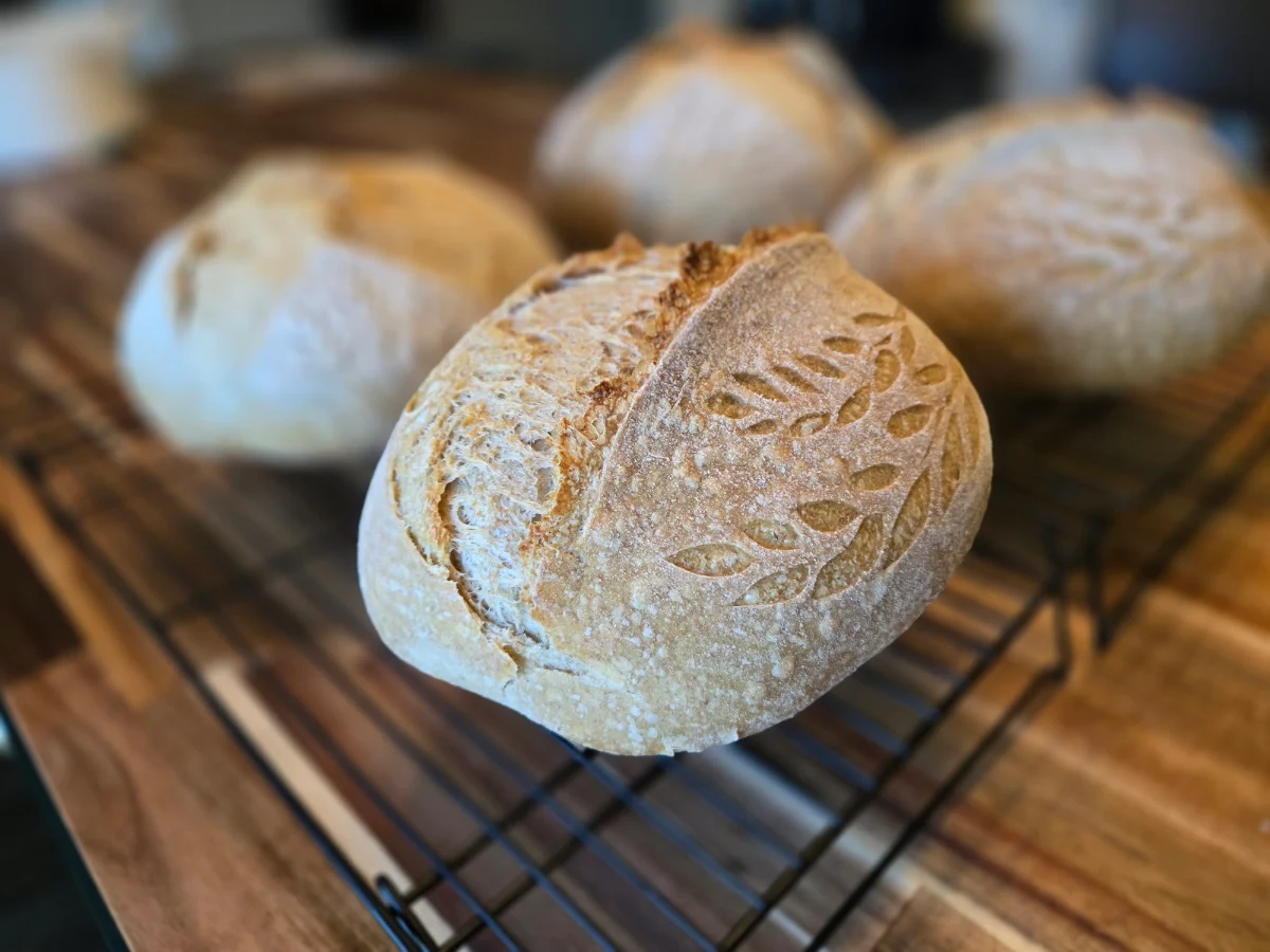 Sourdough