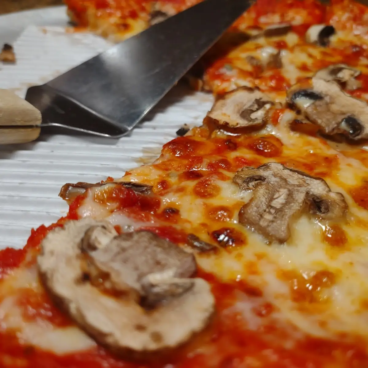 Mushroom Pizza