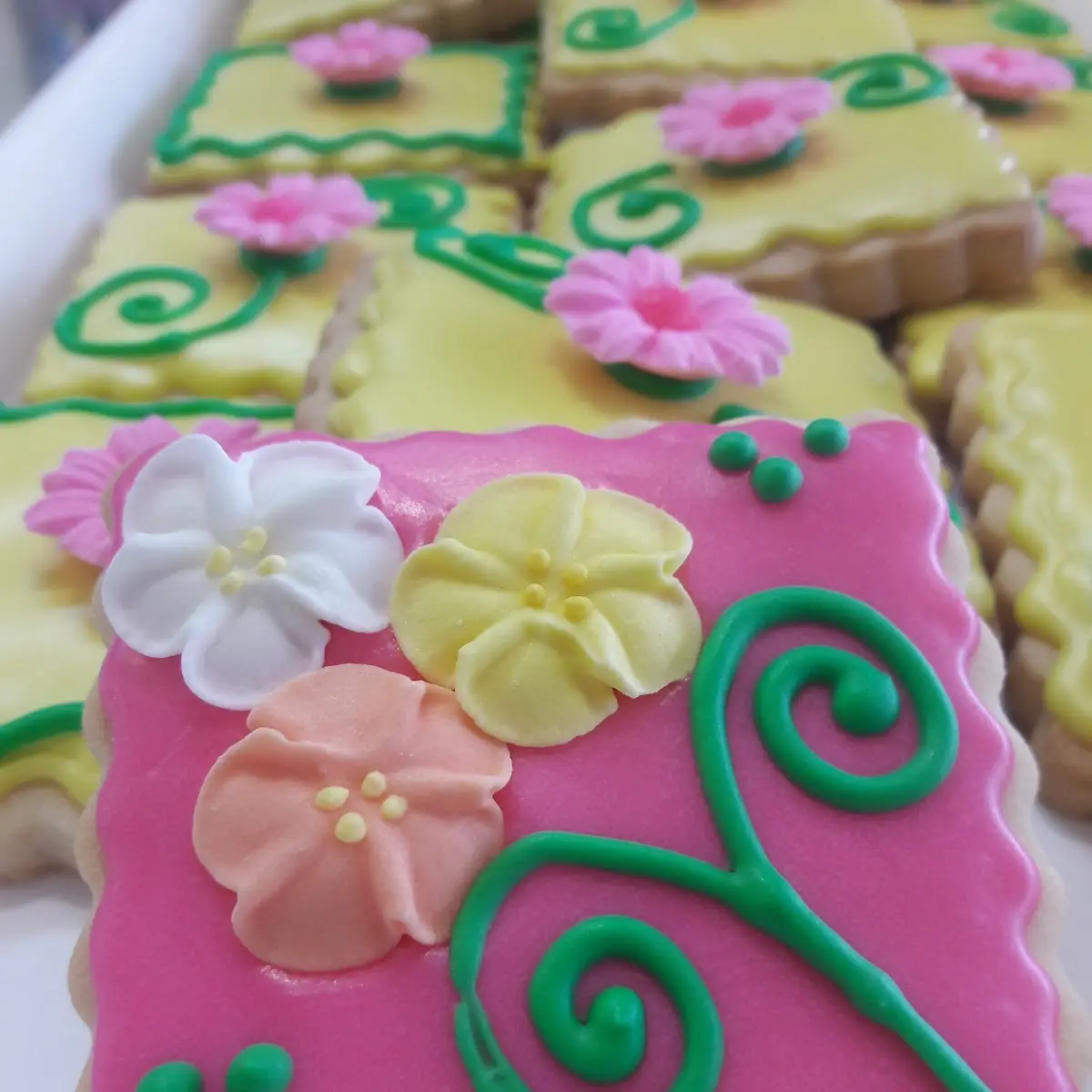 Iced Sugar Cookies
