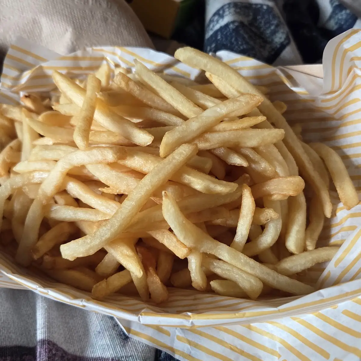 World Famous Fries