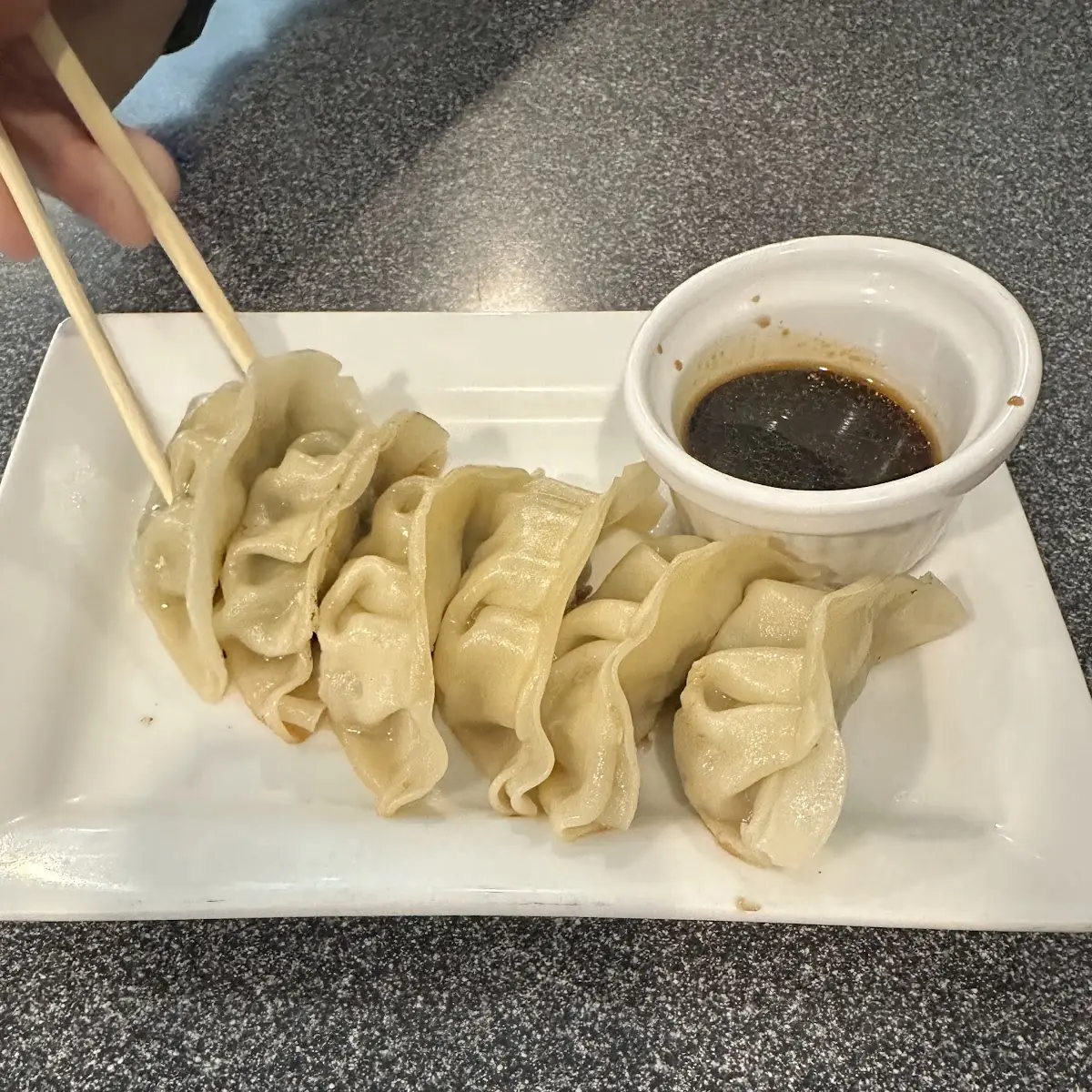 Pork Dumplings