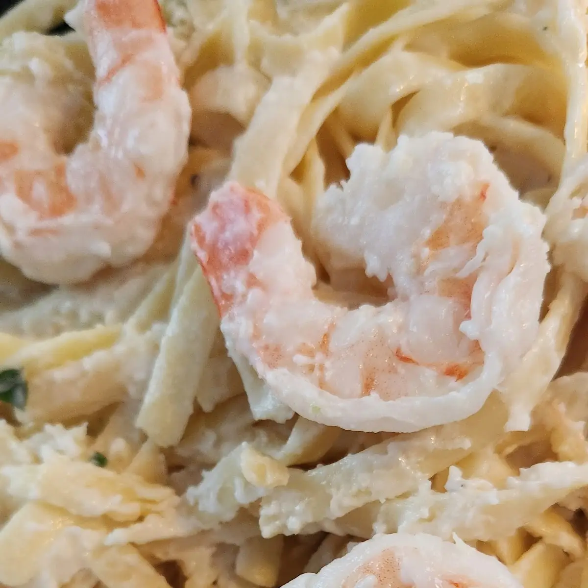 Shrimp Alfredo