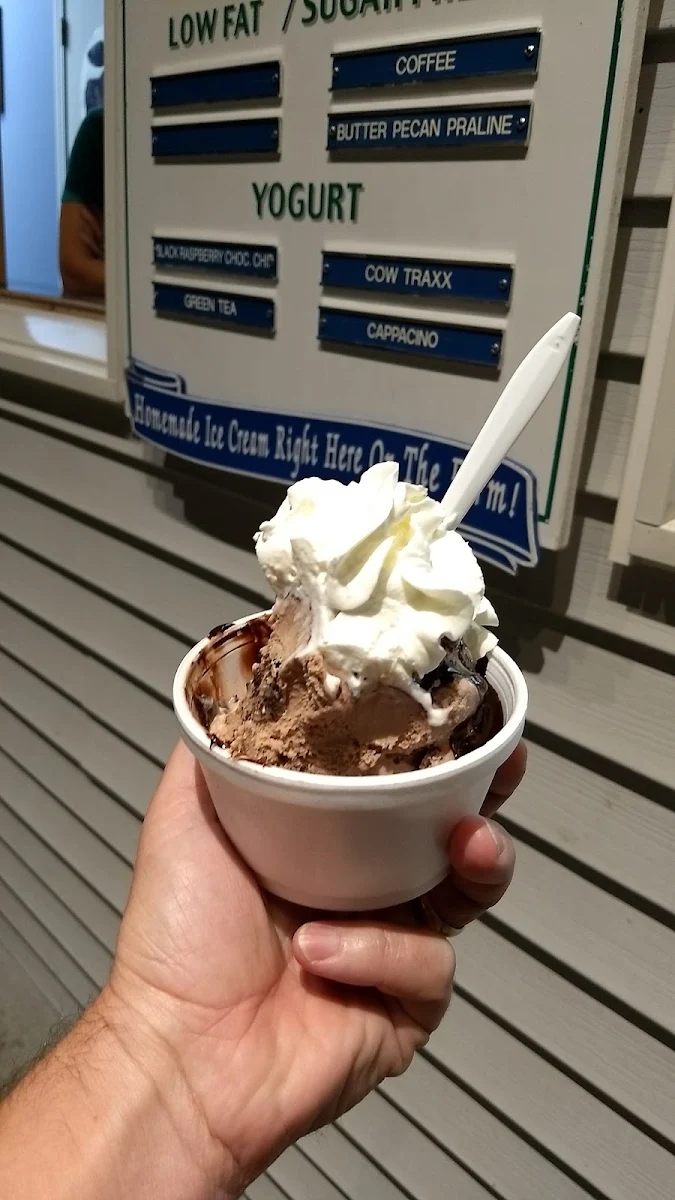 Holy Cow Sundae