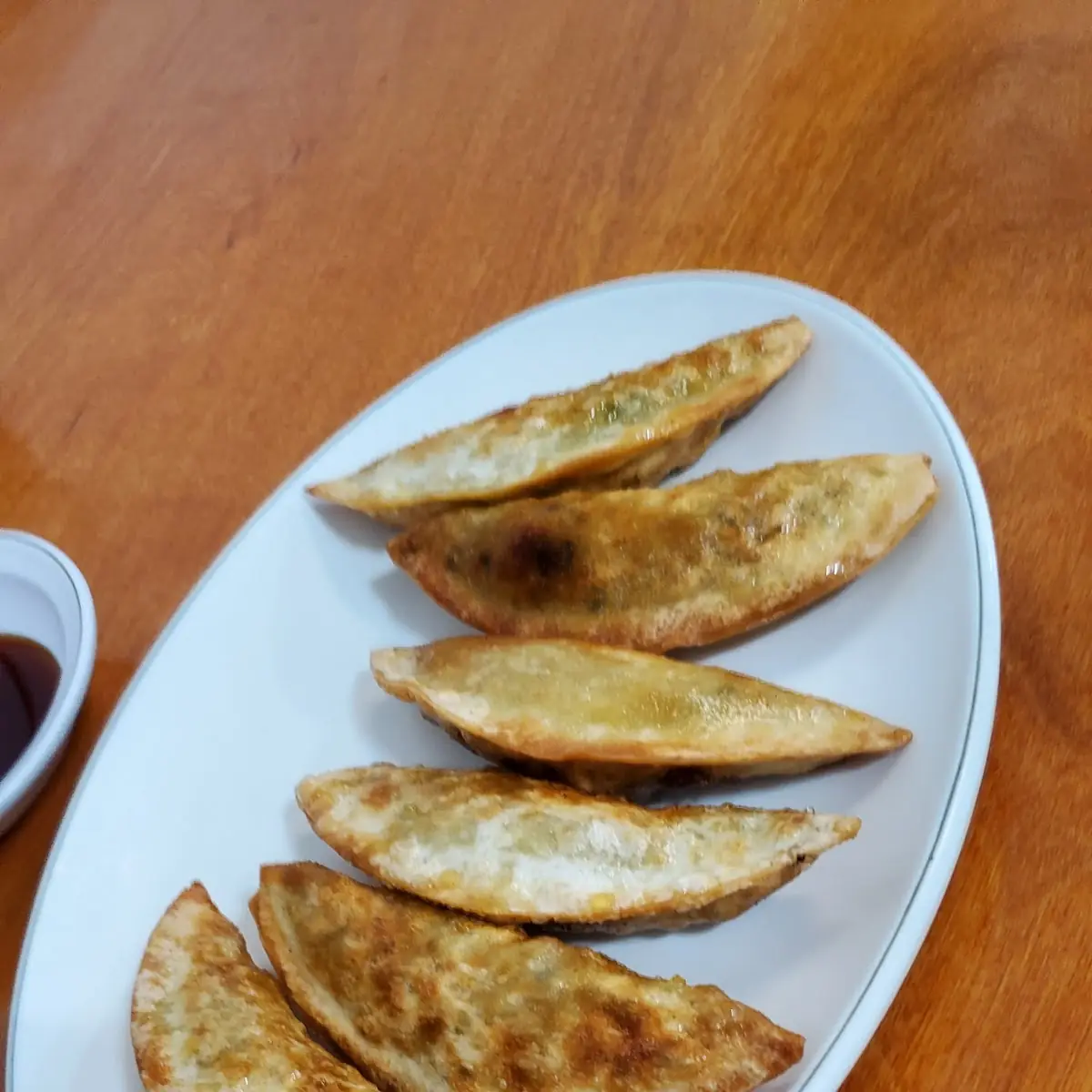 Fried Dumplings