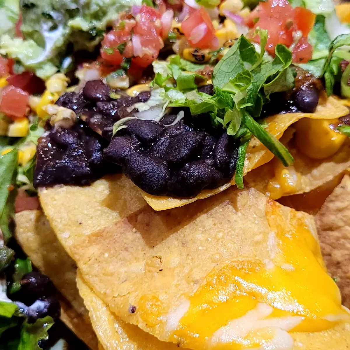 Vegan Nachos He Said It Was Great
