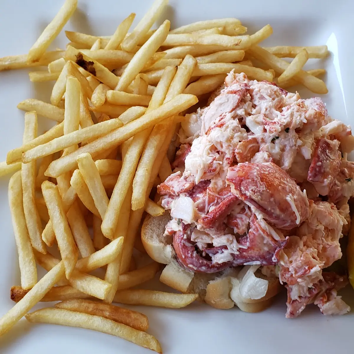 Lobster Roll