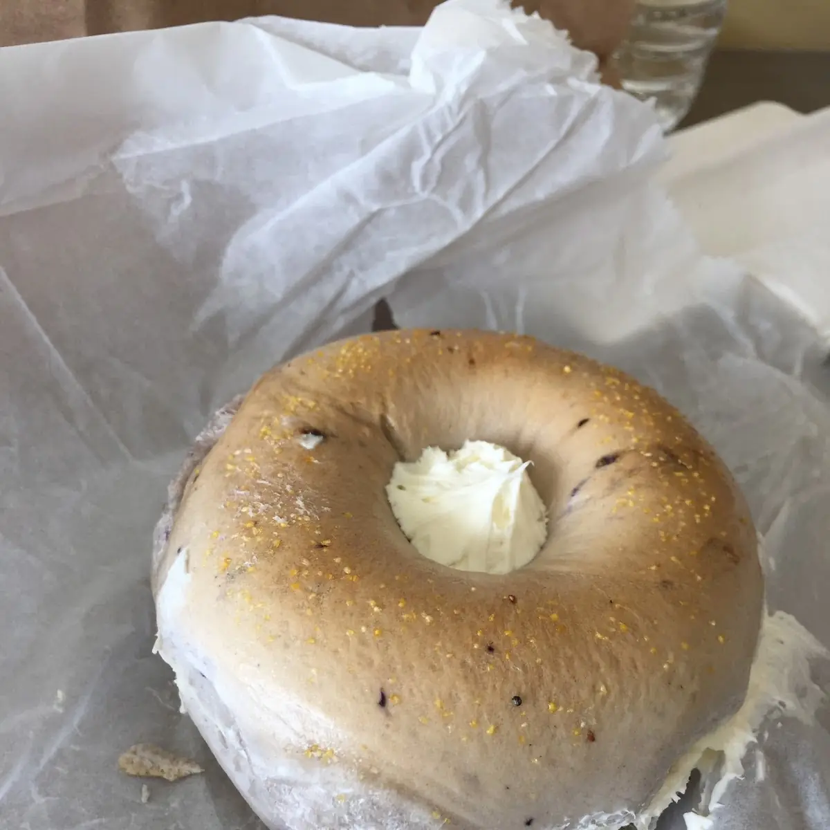 Blueberry Bagel