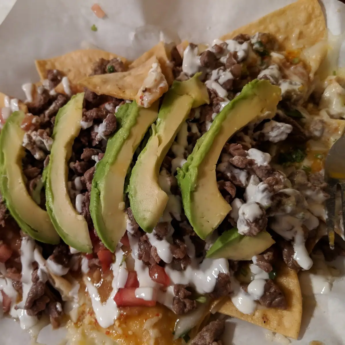 Carne Asada Fries