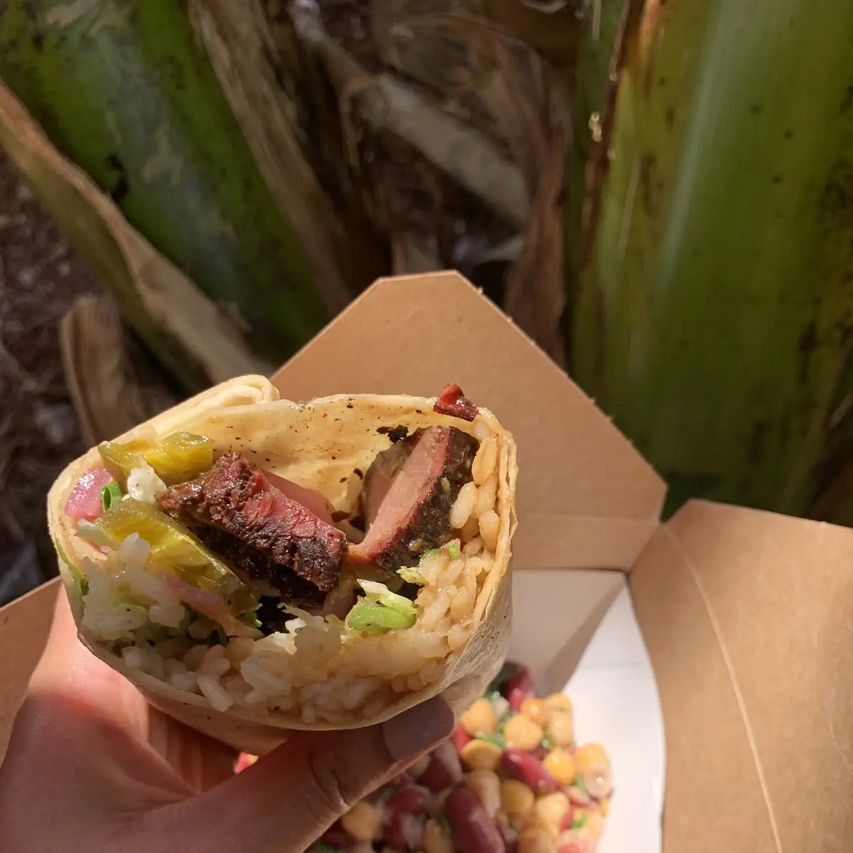 Short Rib Wrap