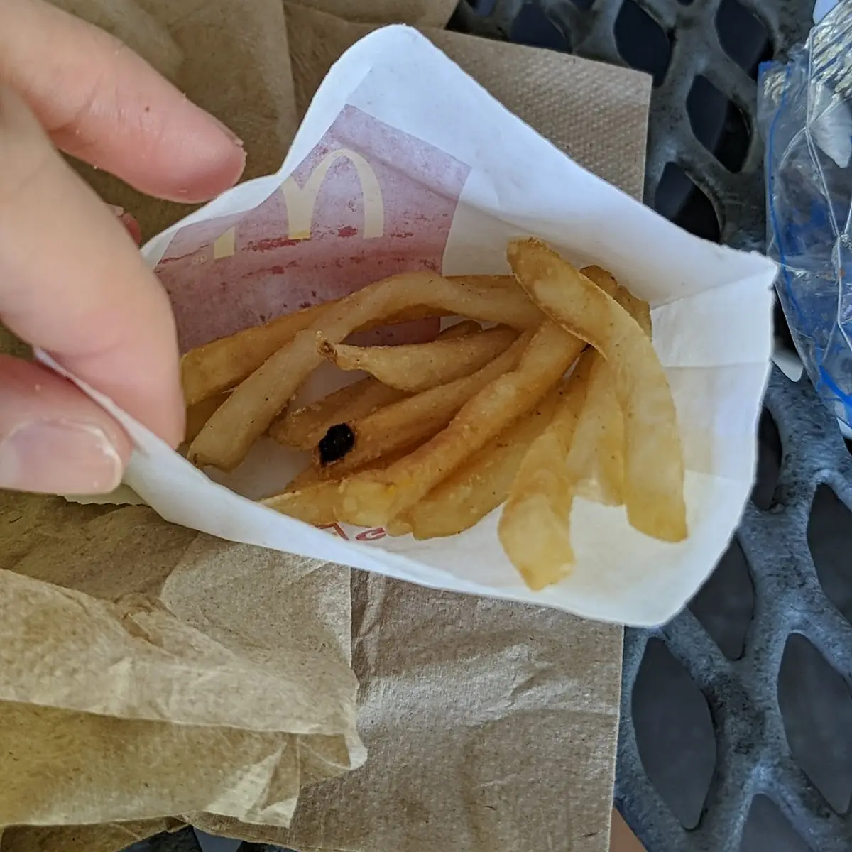 World Famous Fries
