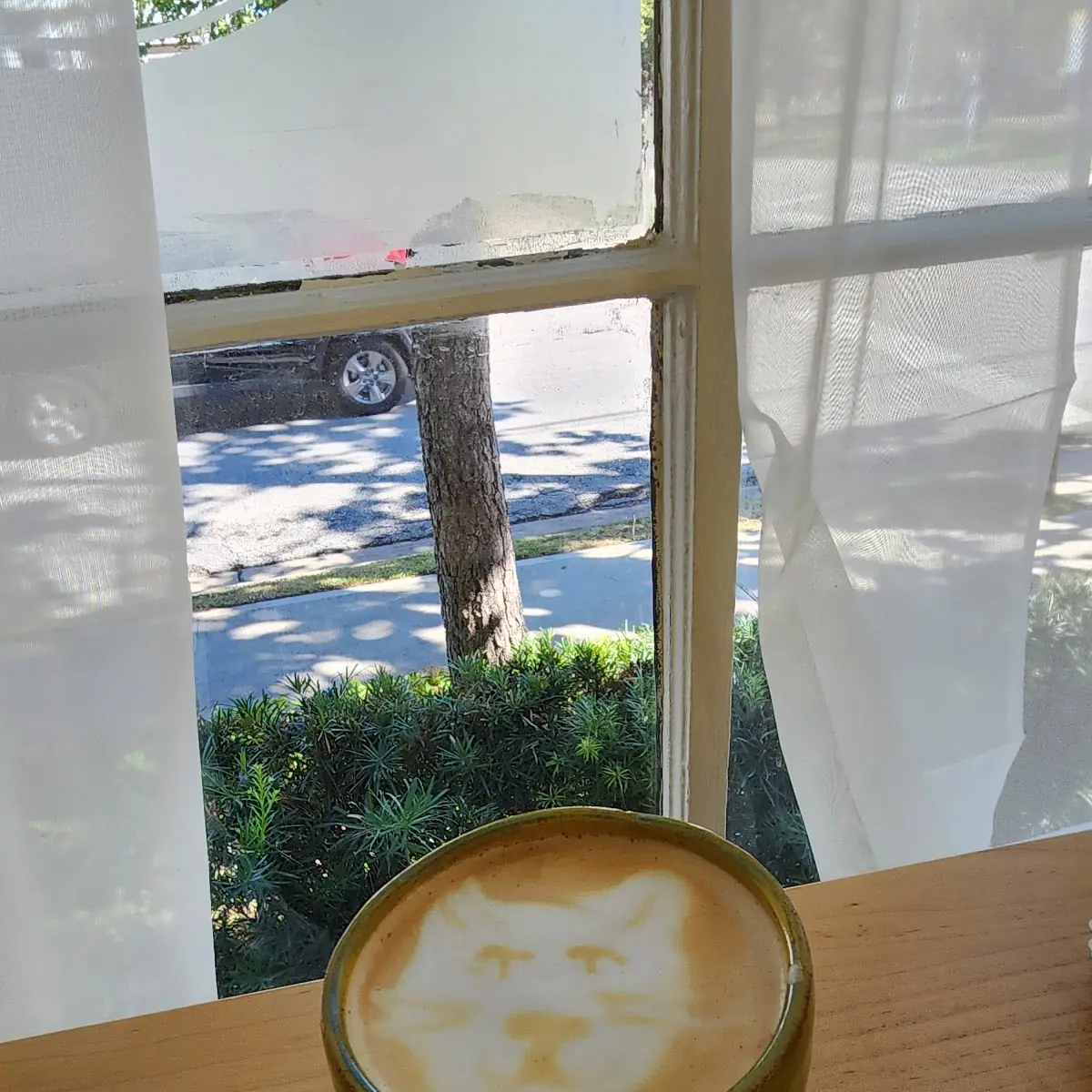 Sugar Free Vanilla Latte