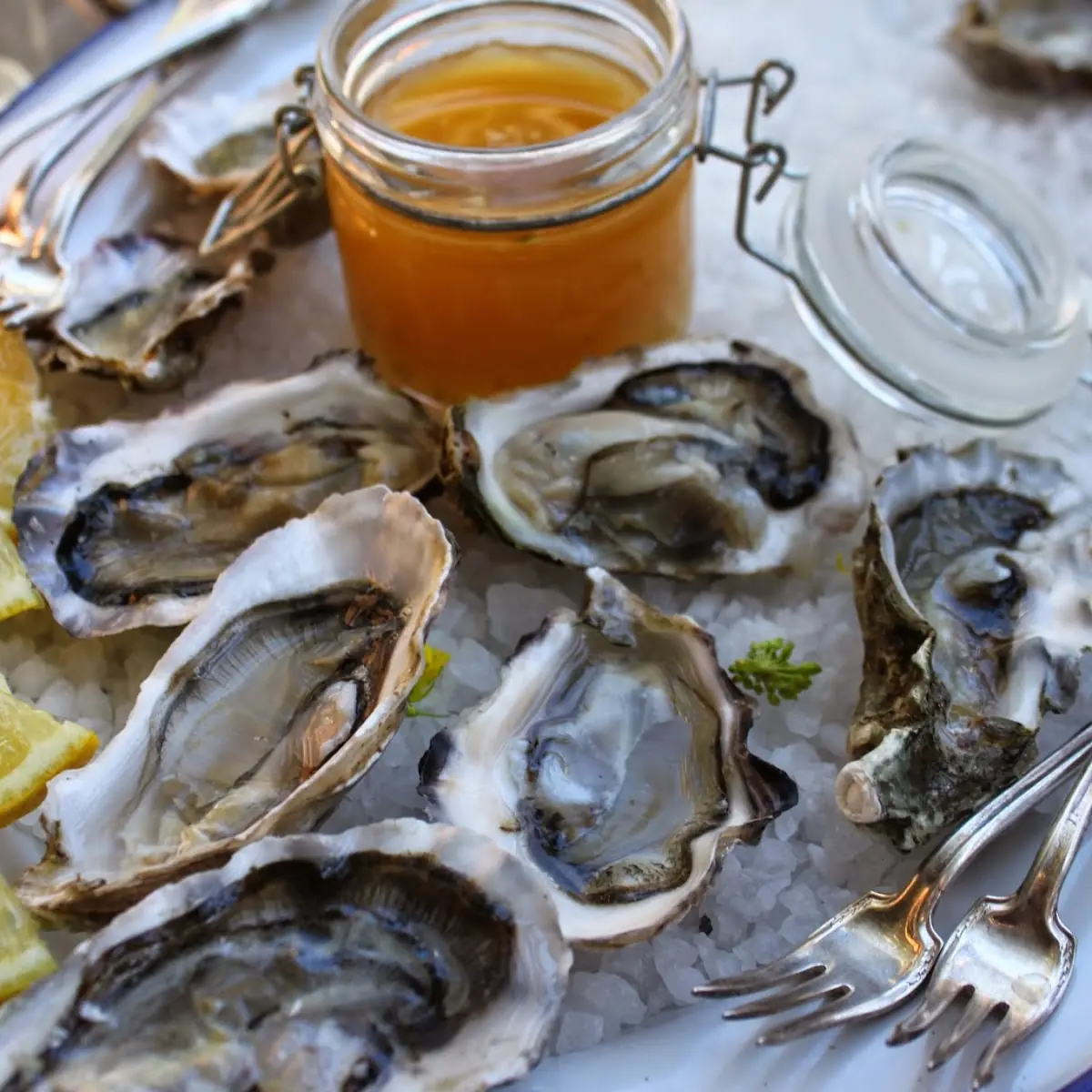 Oyster Shooter