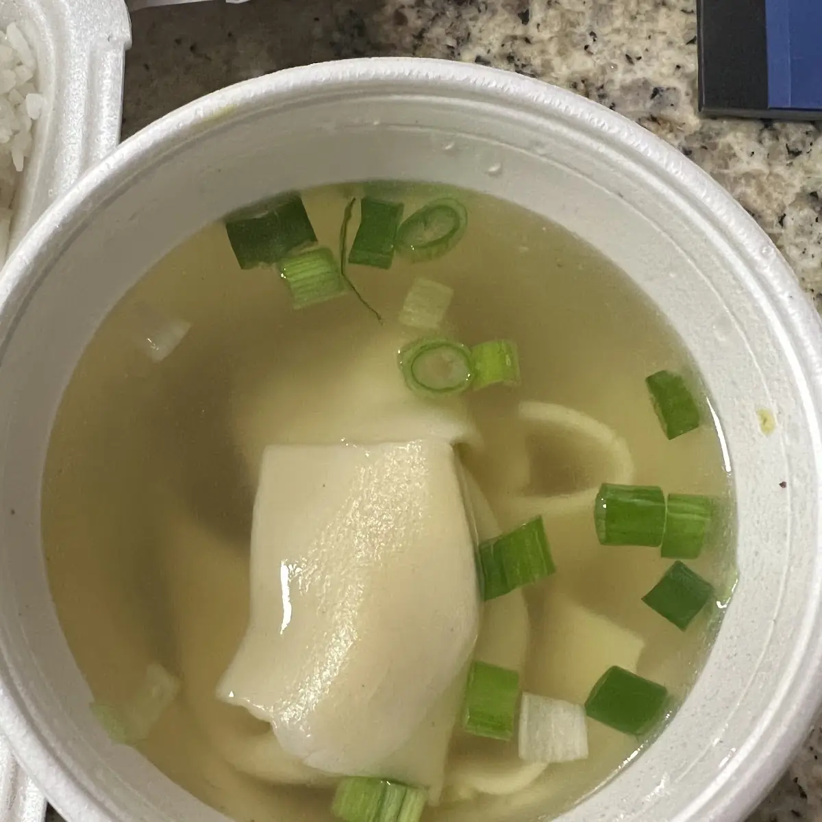 Wonton Soup