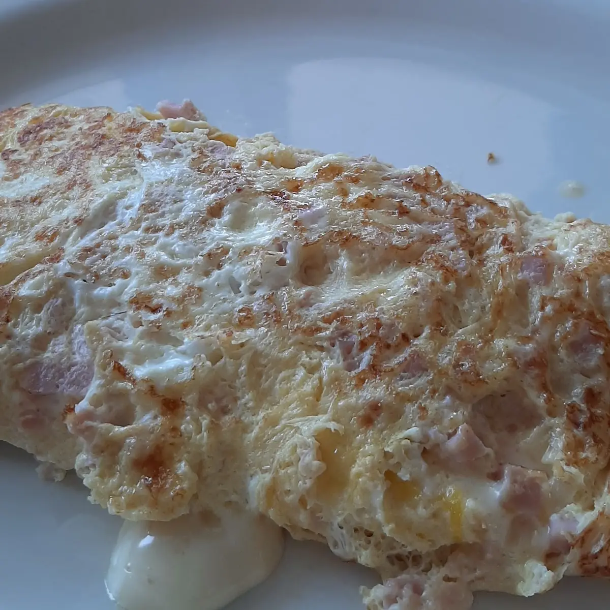 Ham Cheese Omelet
