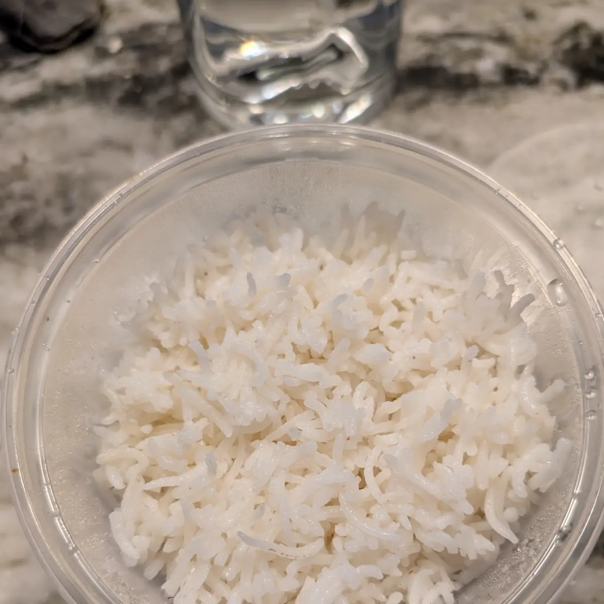 Steamed Rice