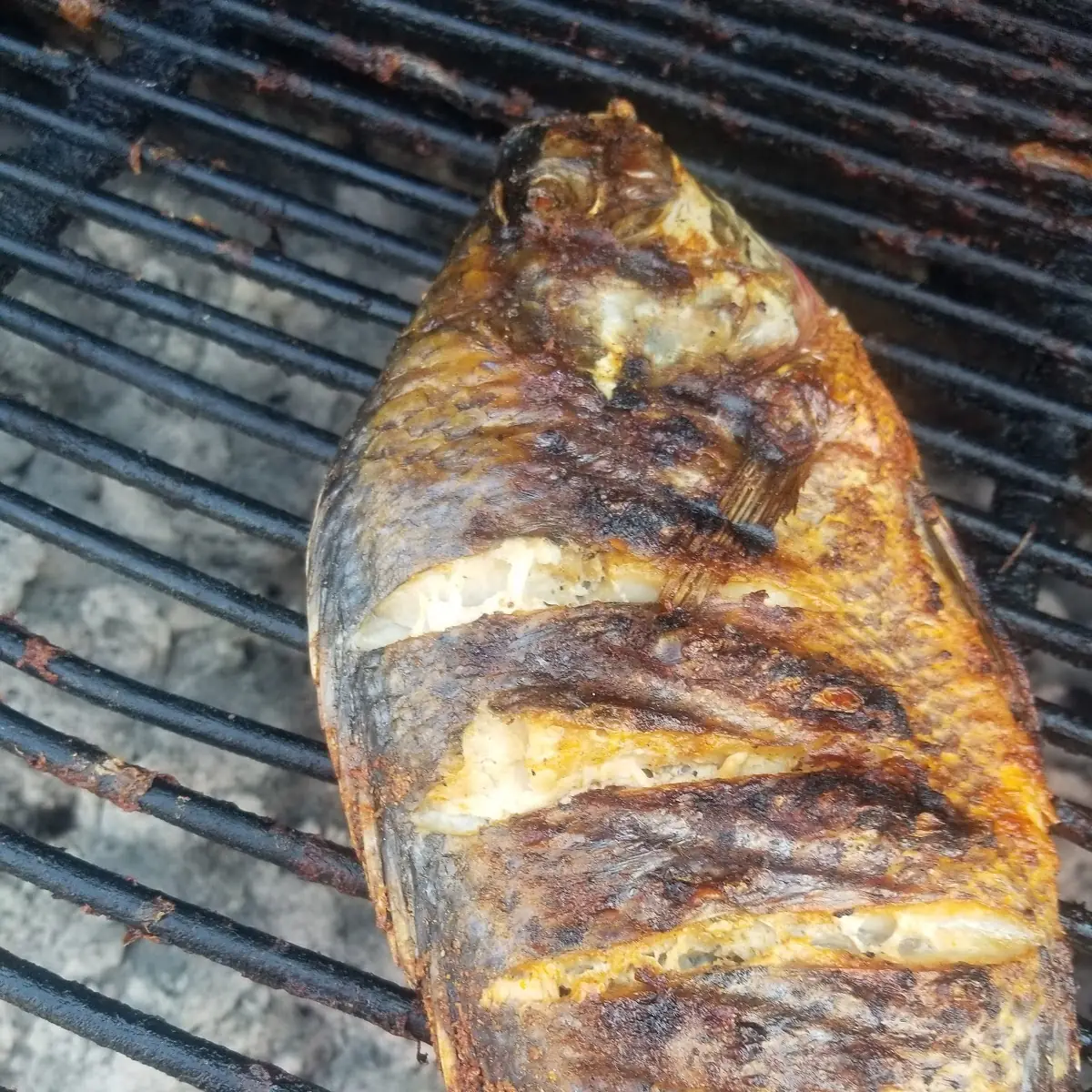 Whole Fried Tilapia