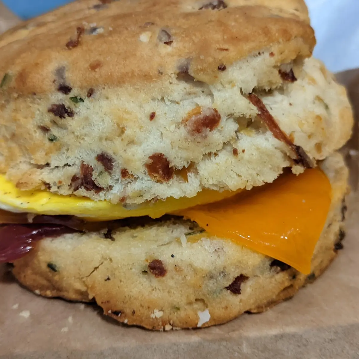 Bacon Cheddar Scone'Which with Bacon Egg and Cheese