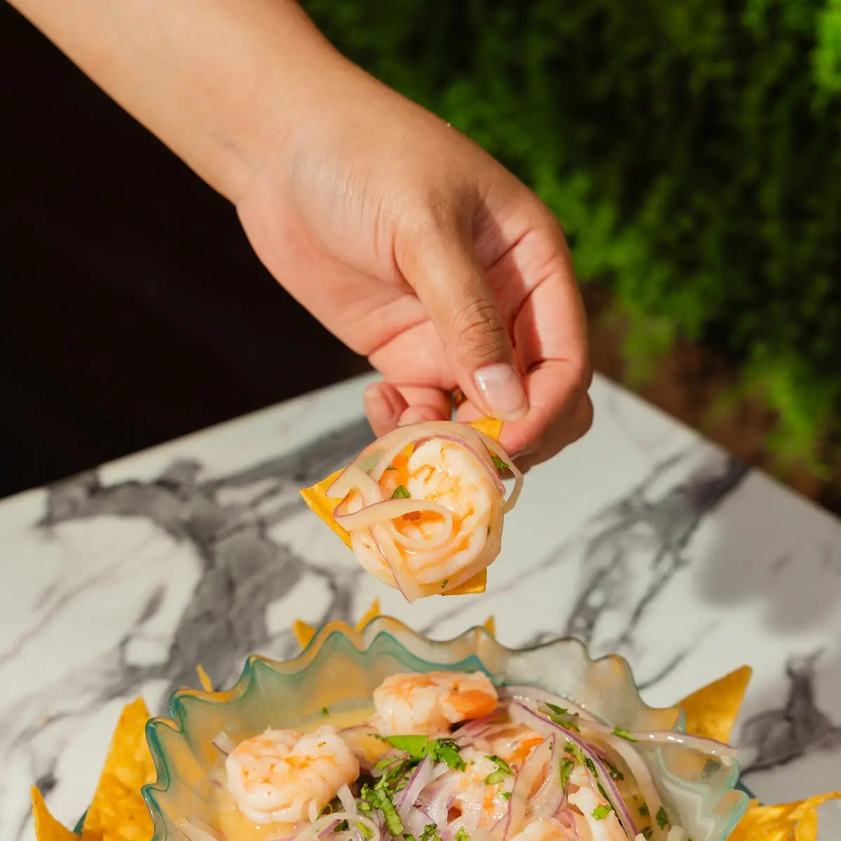 Shrimp Ceviche