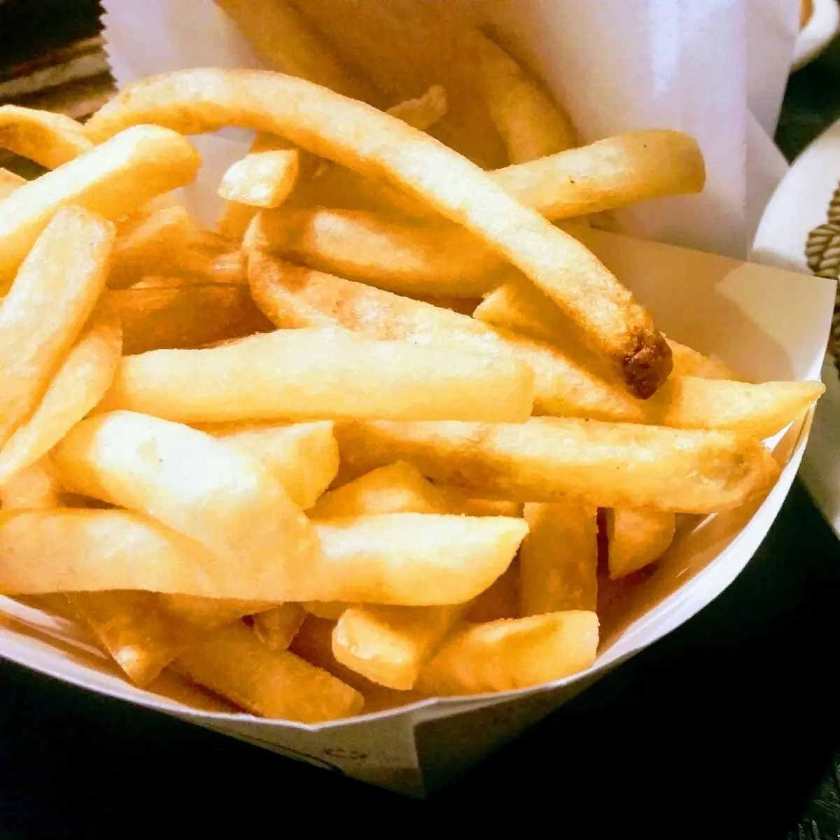 Pulled Pork and French Fries