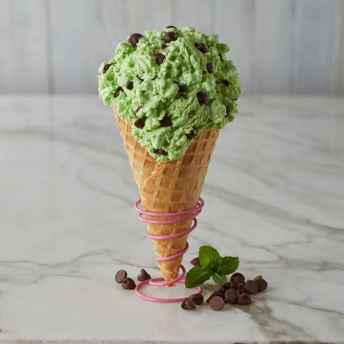 Mint Chocolate Chip Ice Cream