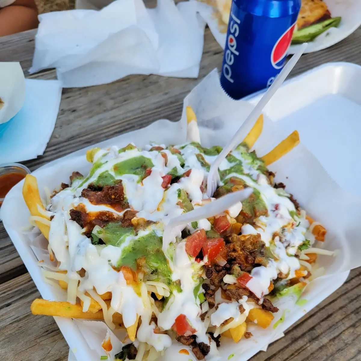 Carne Asada Fries