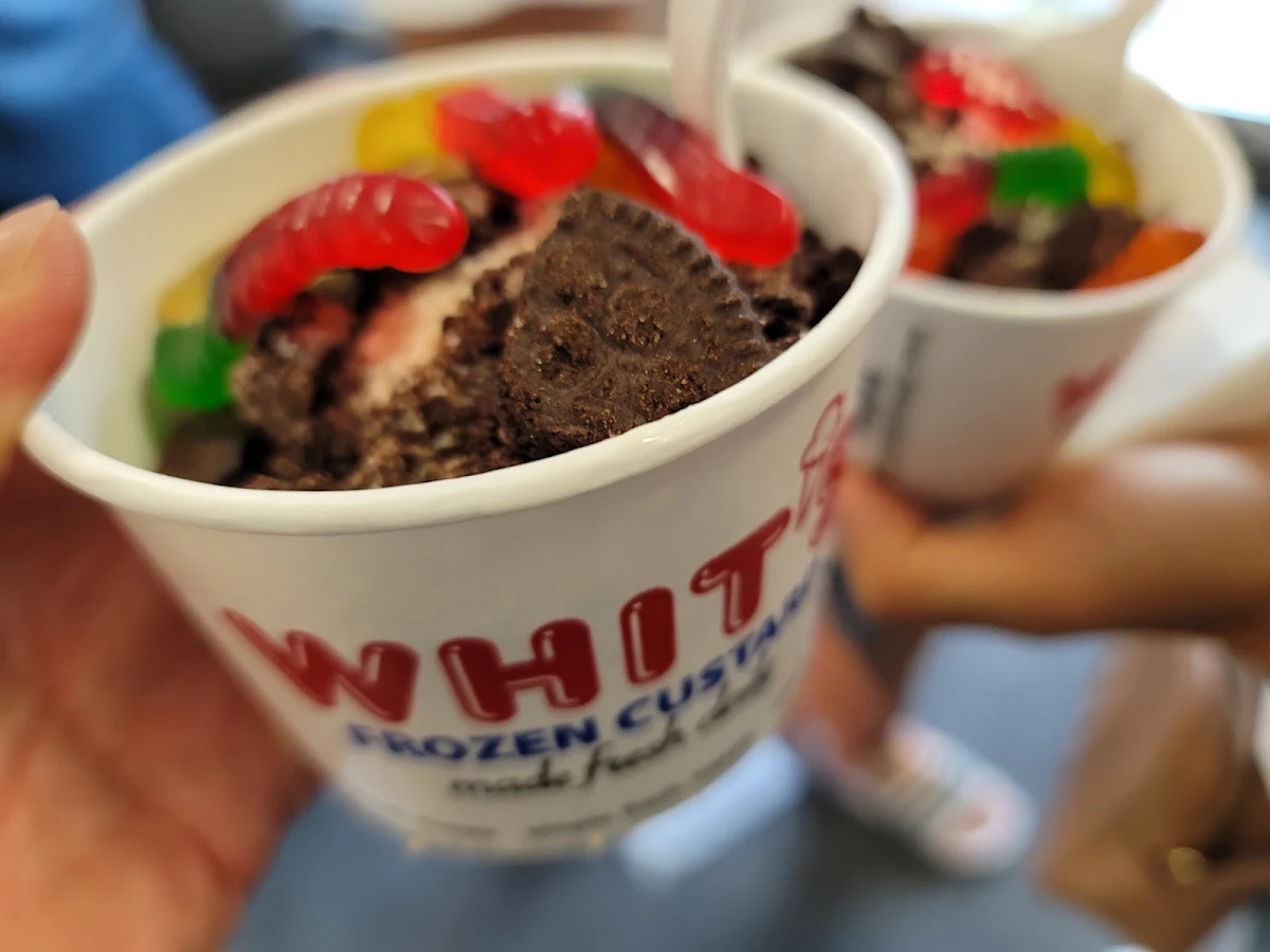 Frozen Yogurt