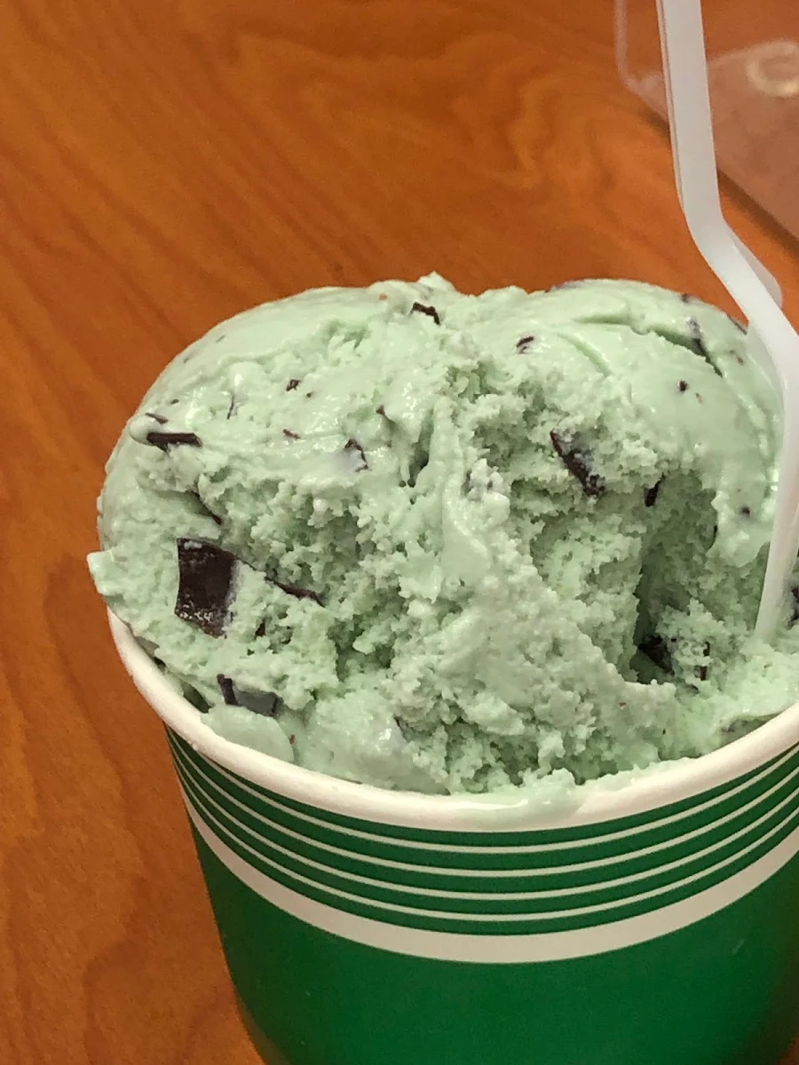 Chocolate Chip