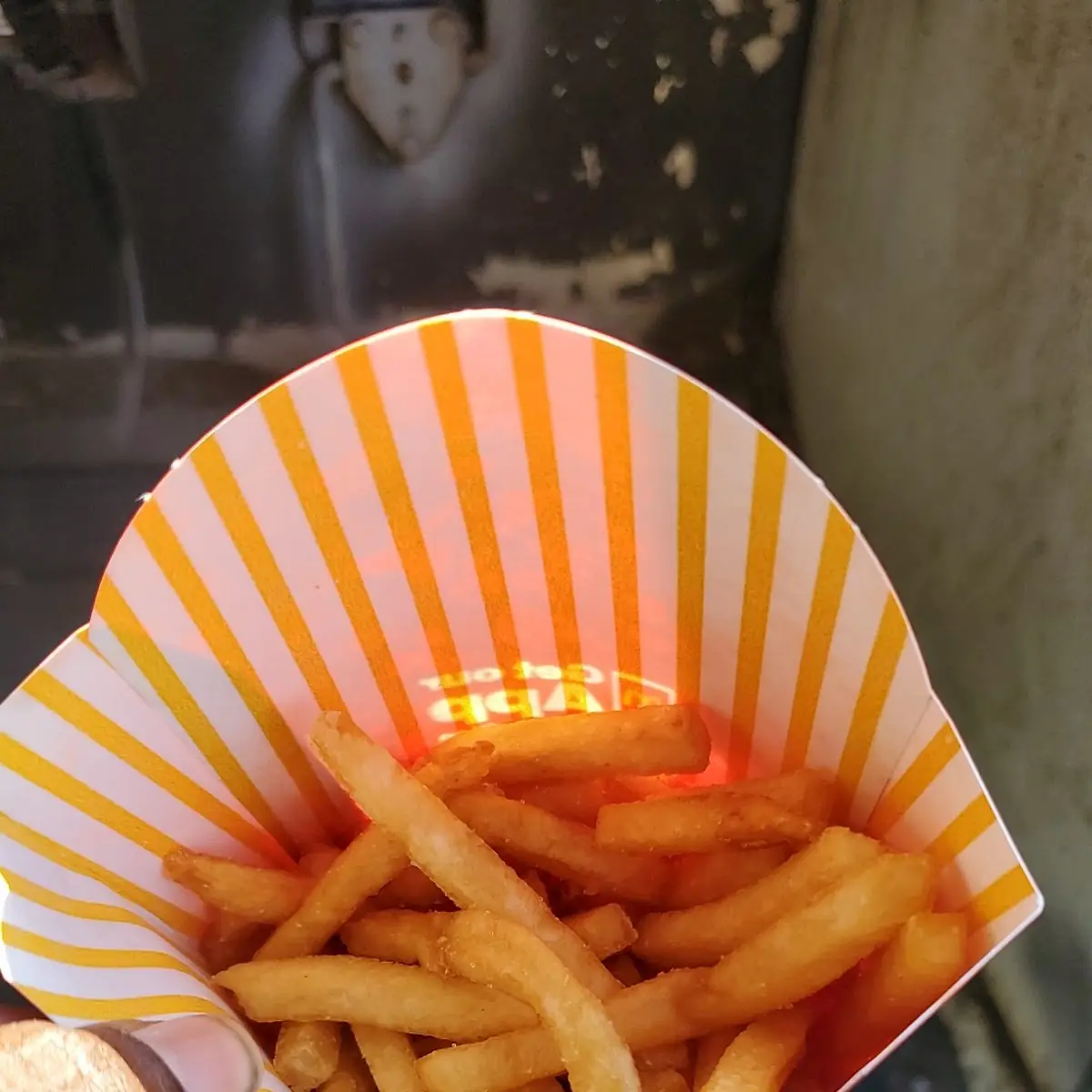 World Famous Fries