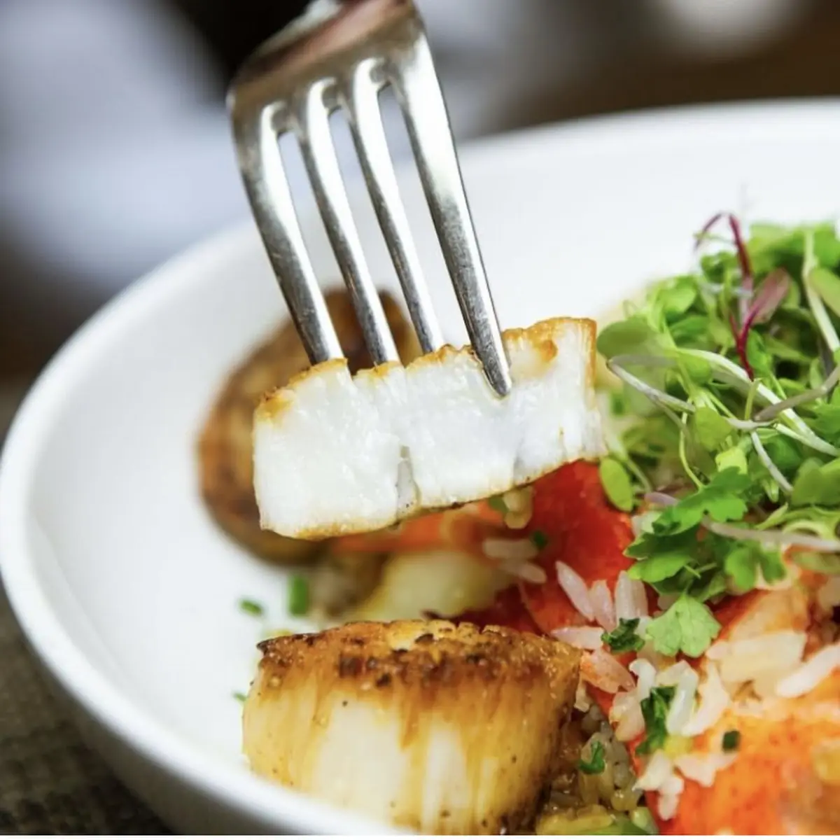 BYO Stonington Sea Scallop