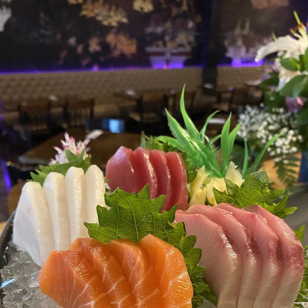 Sashimi Dinner